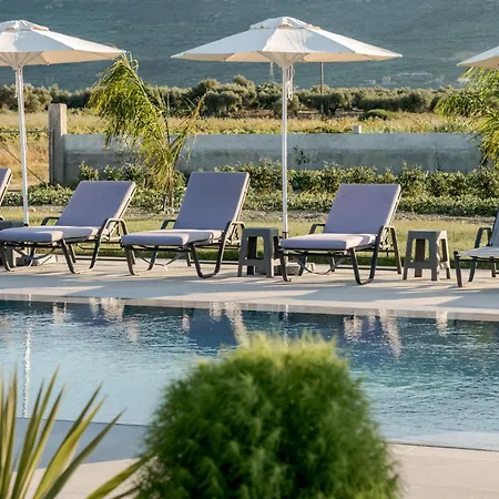 La Caretta Alykanas (Zakynthos)